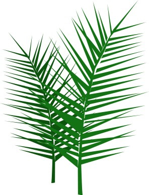 Leafy Palm Branches