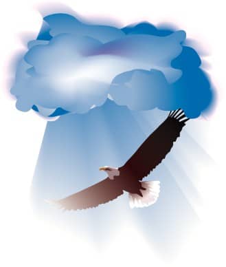 Realistic Eagle Soars through Clouds