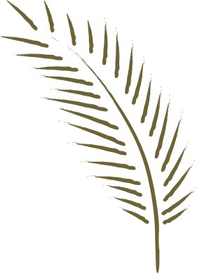 Simple Palm Frond