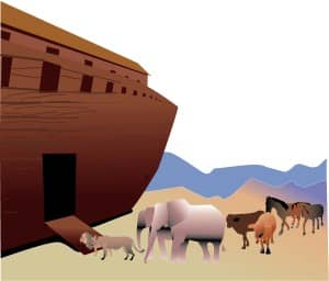 Animals Enter the Ark Two by Two