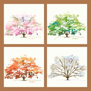 Four Seasons Trees in Frame