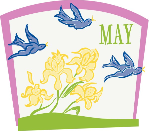 Flying Birds and Flowers in May