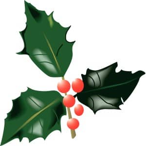 Holly Leaves and Berries