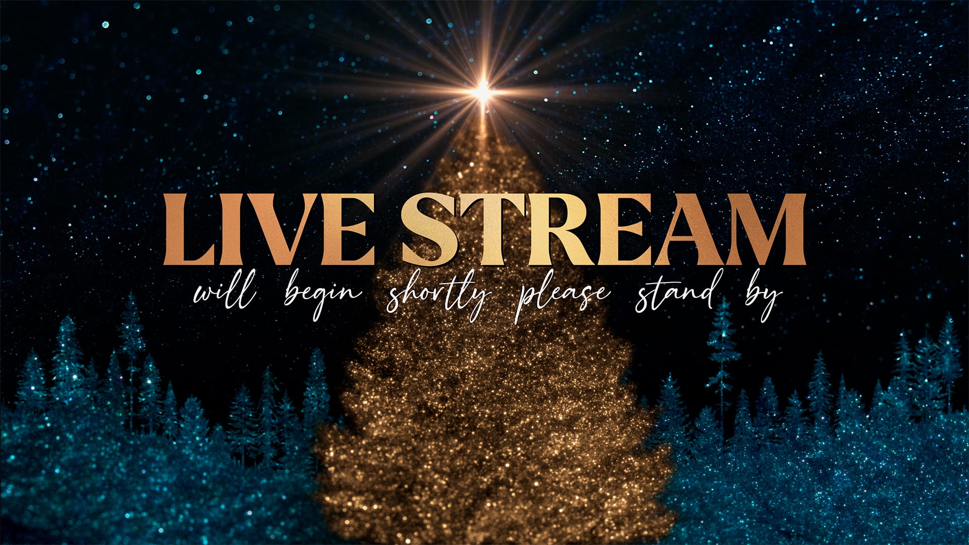 ShareFaith Media » Sparkling Christmas Collection: Live Steam Start ...