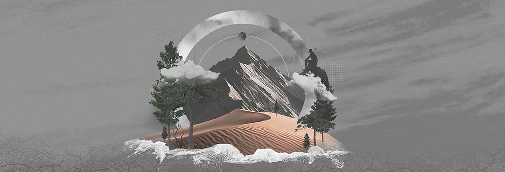 Into the Wilderness: webbanner