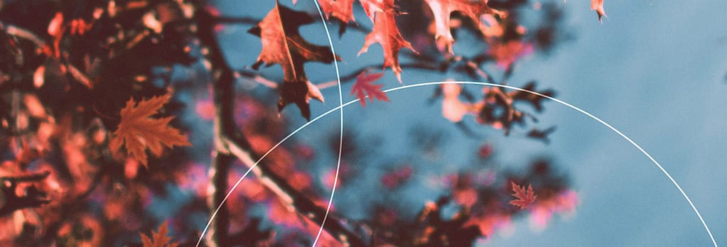 Gratitude Attitude: Web Banner
