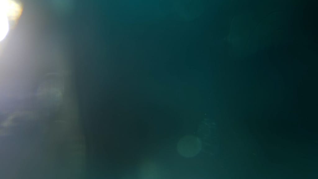 Dark Green Light Flare Church Motion