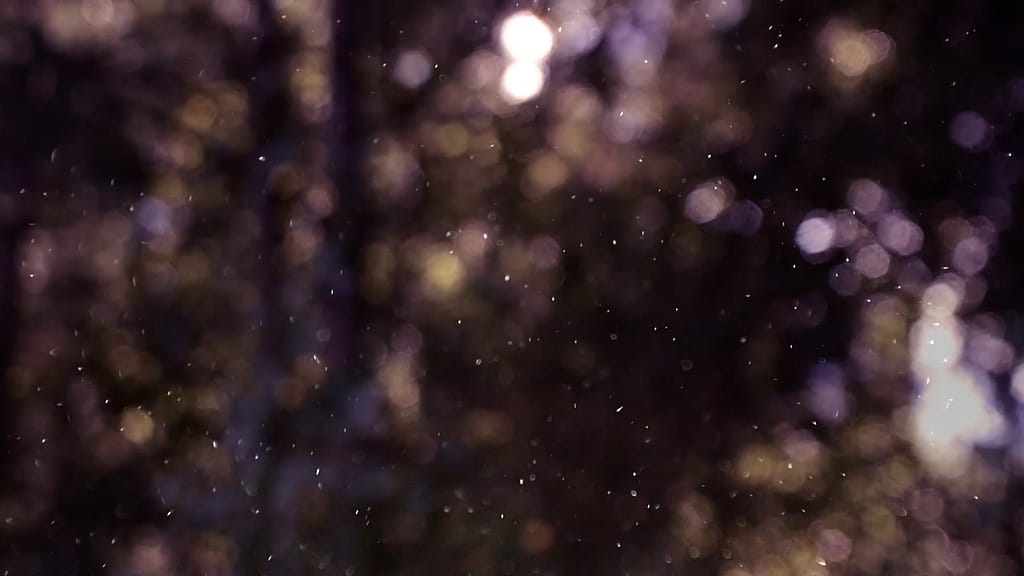 Winter Snow Church Motion 14