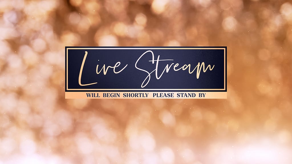 Christmas Light Collection by Lifescribe Media: Live Stream