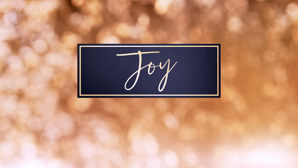 Christmas Light Collection by Lifescribe Media: Joy