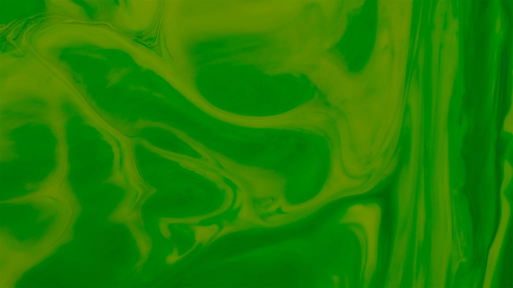 Palm Sunday Paint Collection: 2