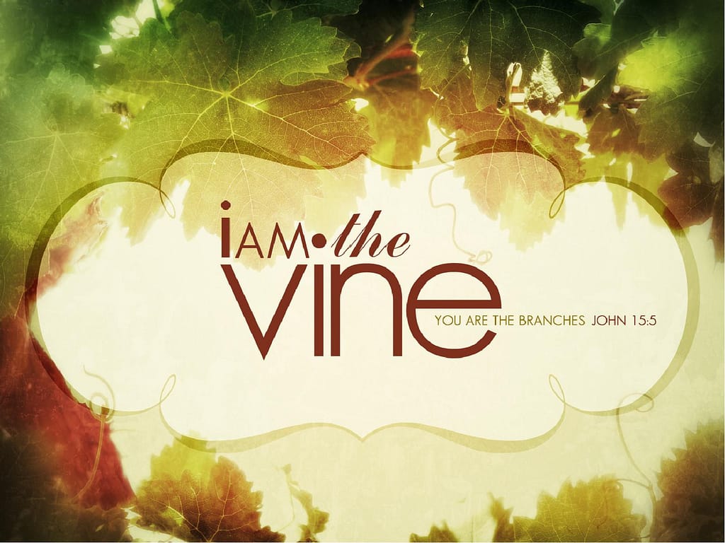 The Vine PowerPoint Sermon