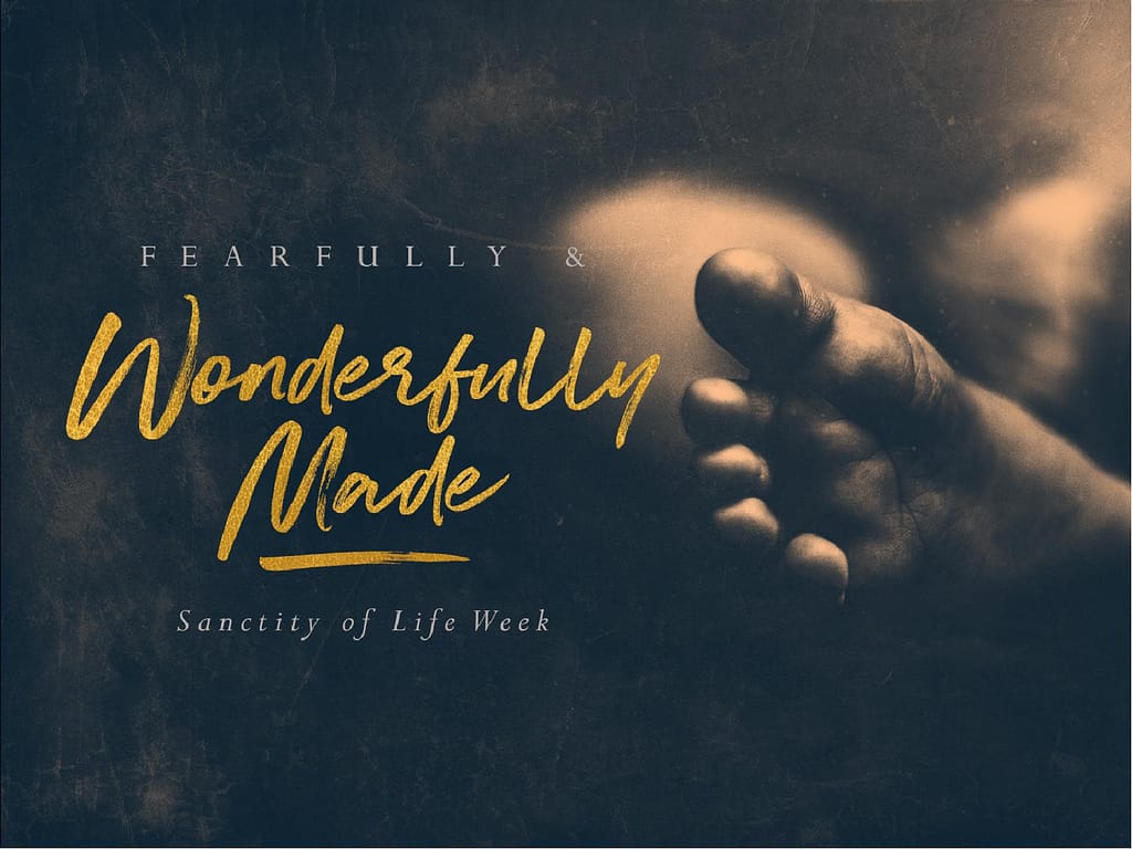 Fearfully & Wonderfully Made Sermon PowerPoint