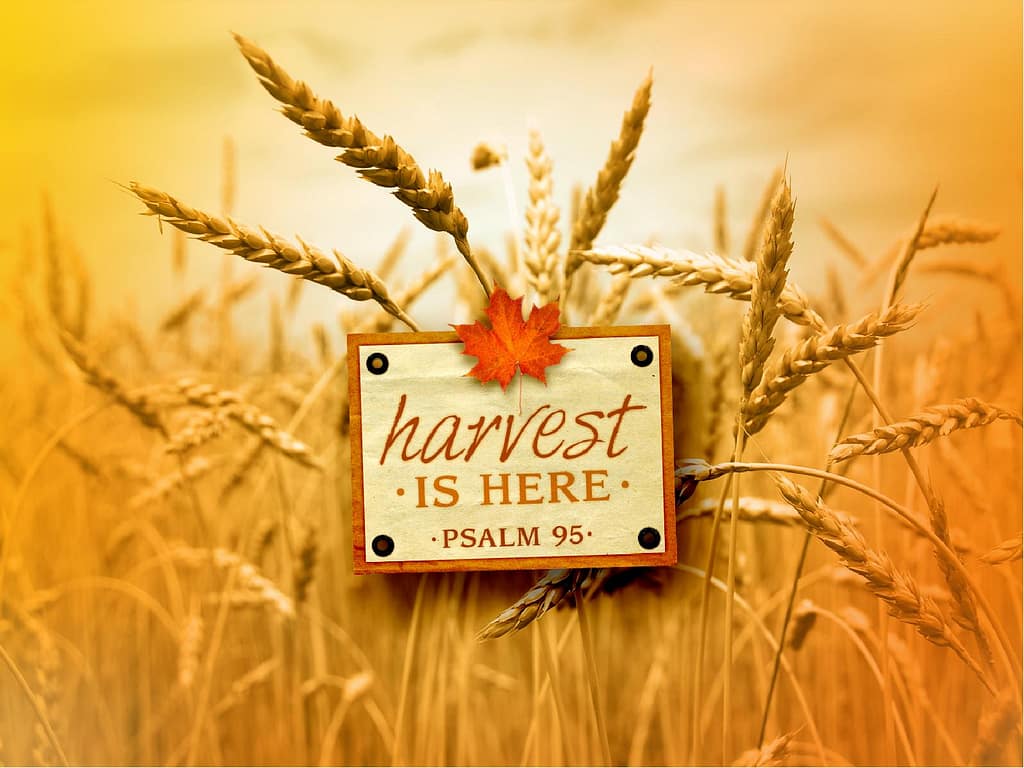 Thanksgiving Joy PowerPoint