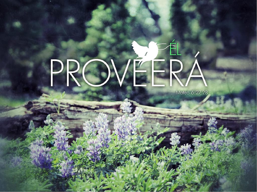 El Proveera Church PowerPoint