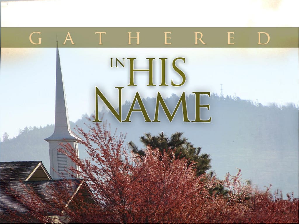 Gathered and Church Steeple