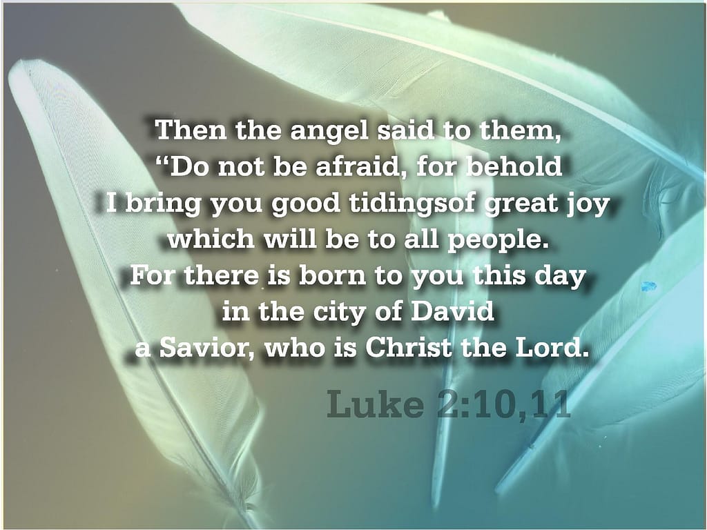 Feathers and Words of an Angel