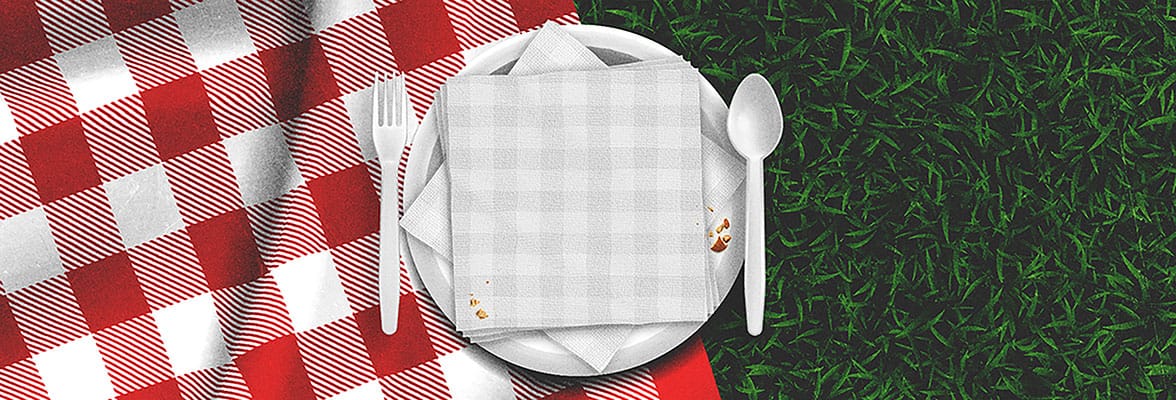 Church Picnic: Web Banner