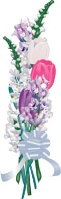 Tulips with White Snapdragons Arrangement