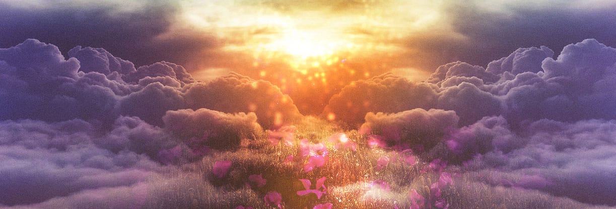 Finally Home: Website Banner