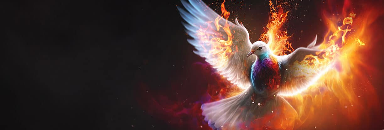 Pentecost Sunday: Web Banner