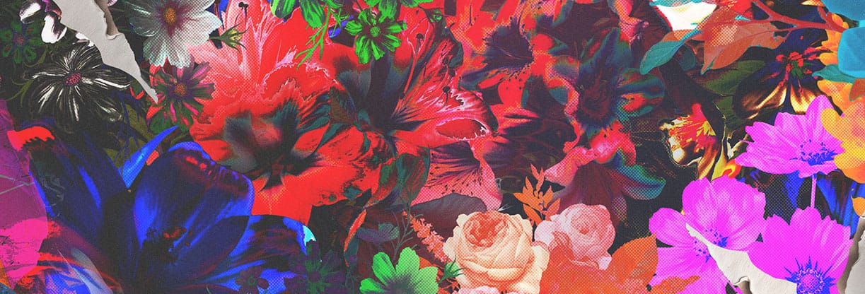 Flourish: Web Banner