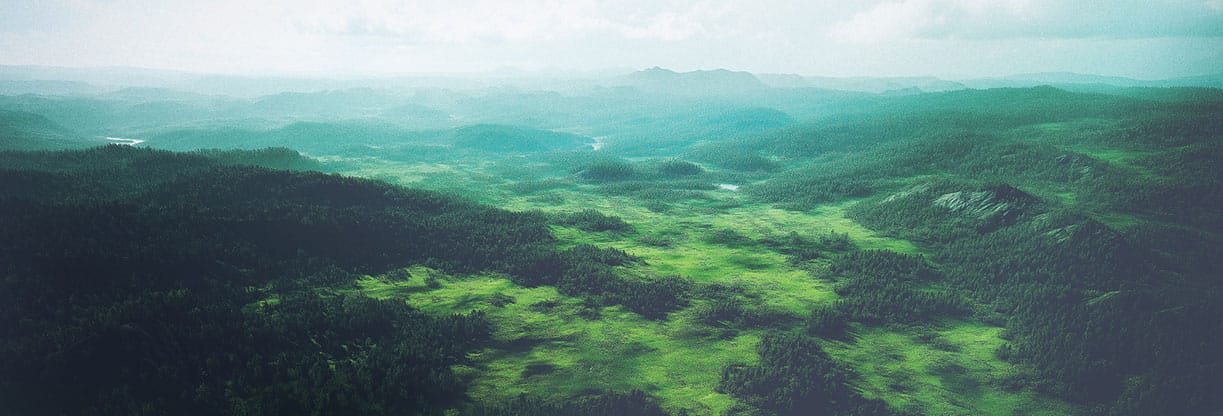 Happy New Year: Web Banner