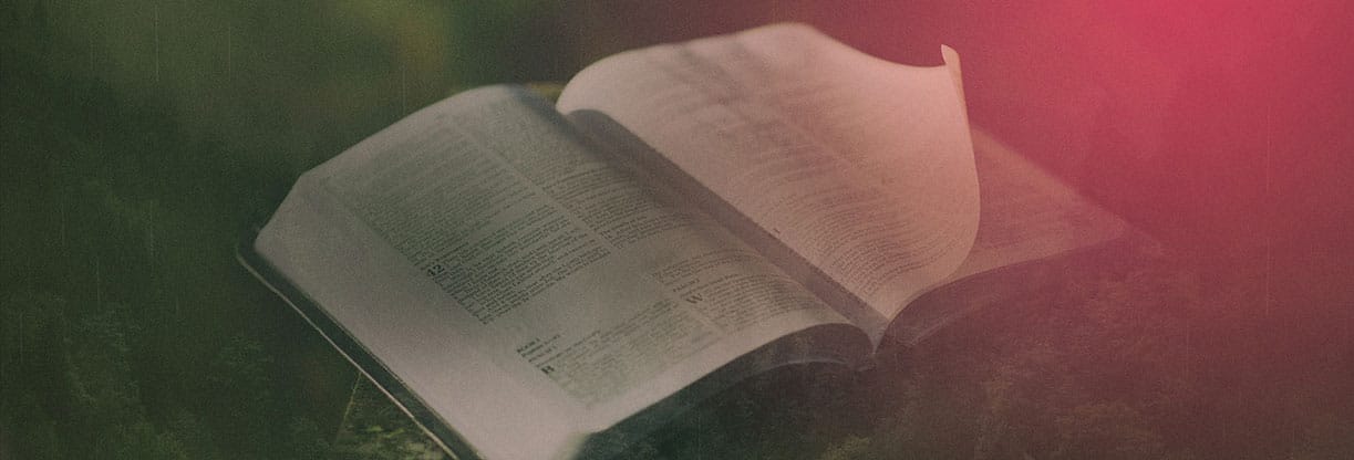21 Days of Prayer and Fasting: Web Banner