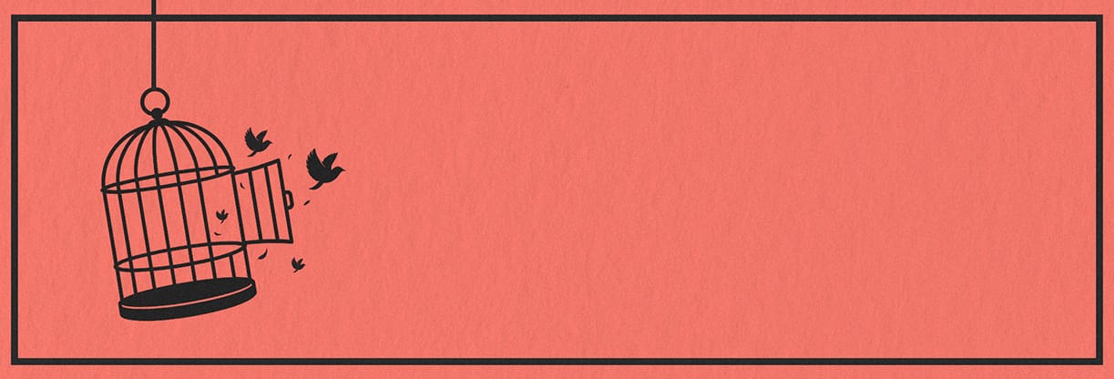 The Art Of Apology: Web Banner