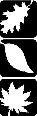 Black and White Leaf Clipart