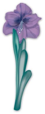 Purple Hibiscus from the Garden