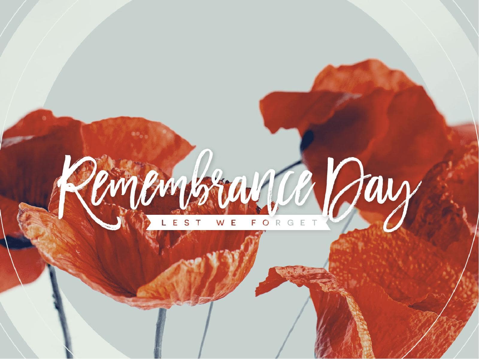 Remembrance Day Poppies Church PowerPoint