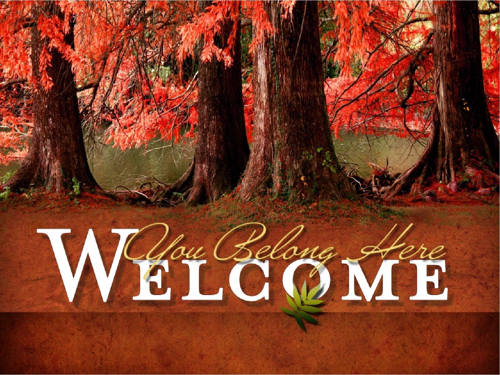 Fall Foliage Sermon PowerPoint Template