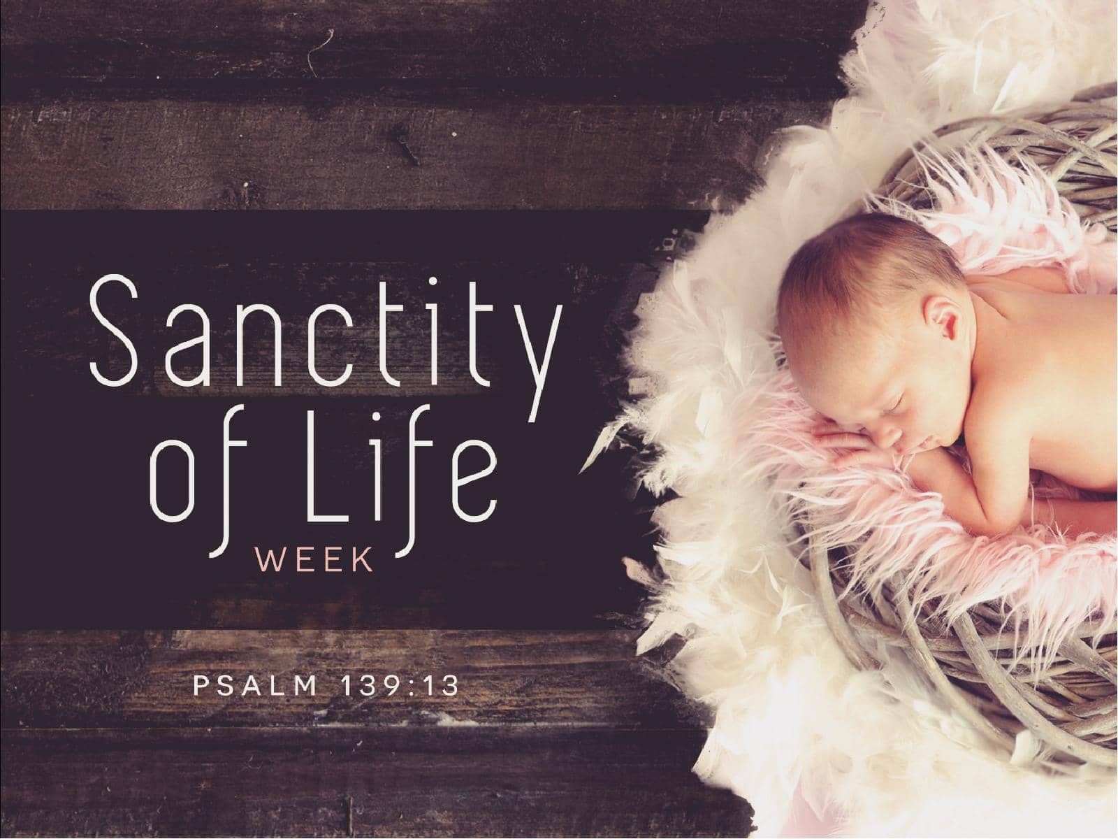 Sanctity of Life Week Church PowerPoint