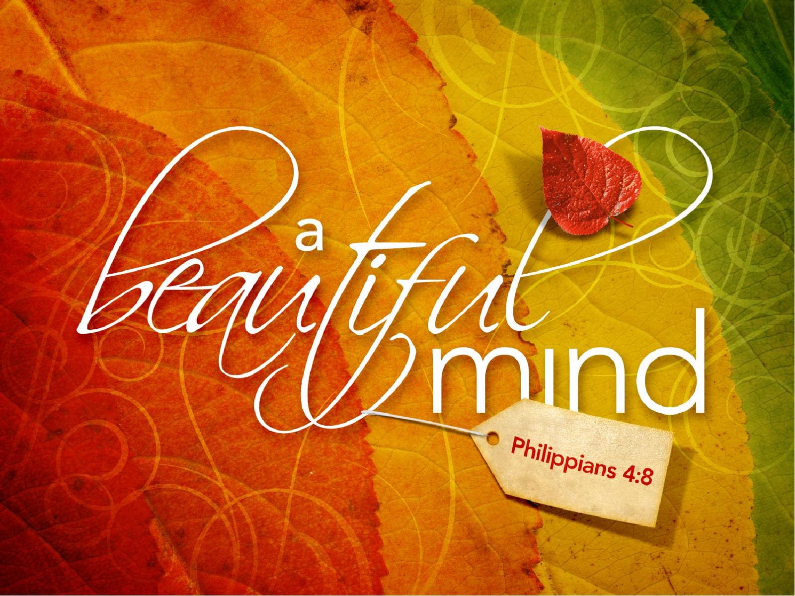 Beautiful Mind PowerPoint Presentation