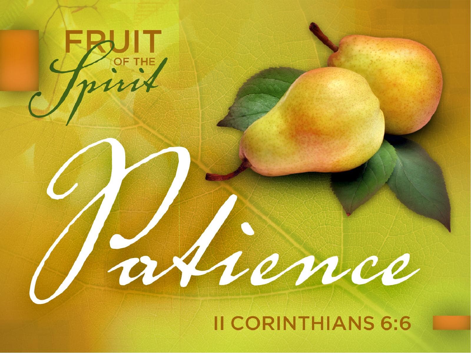 ShareFaith Media » Patience Fruit of the Spirit PowerPoint Template – ShareFaith Media sharefaith-media-patience-fruit-of-the-spirit-powerpoint-template-sharefaith-media