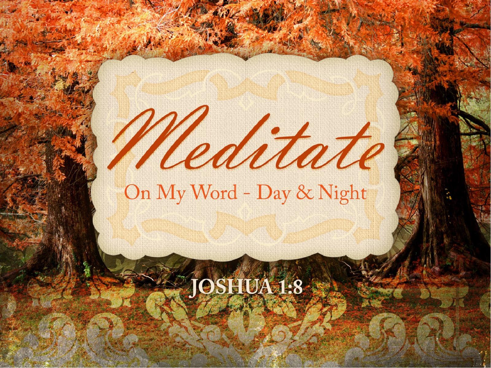 Meditate Fall PowerPoint