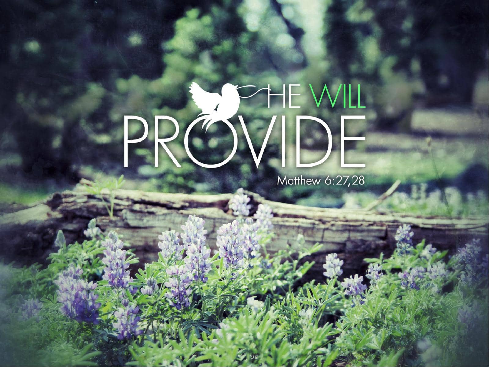 Provision PowerPoint Sermon