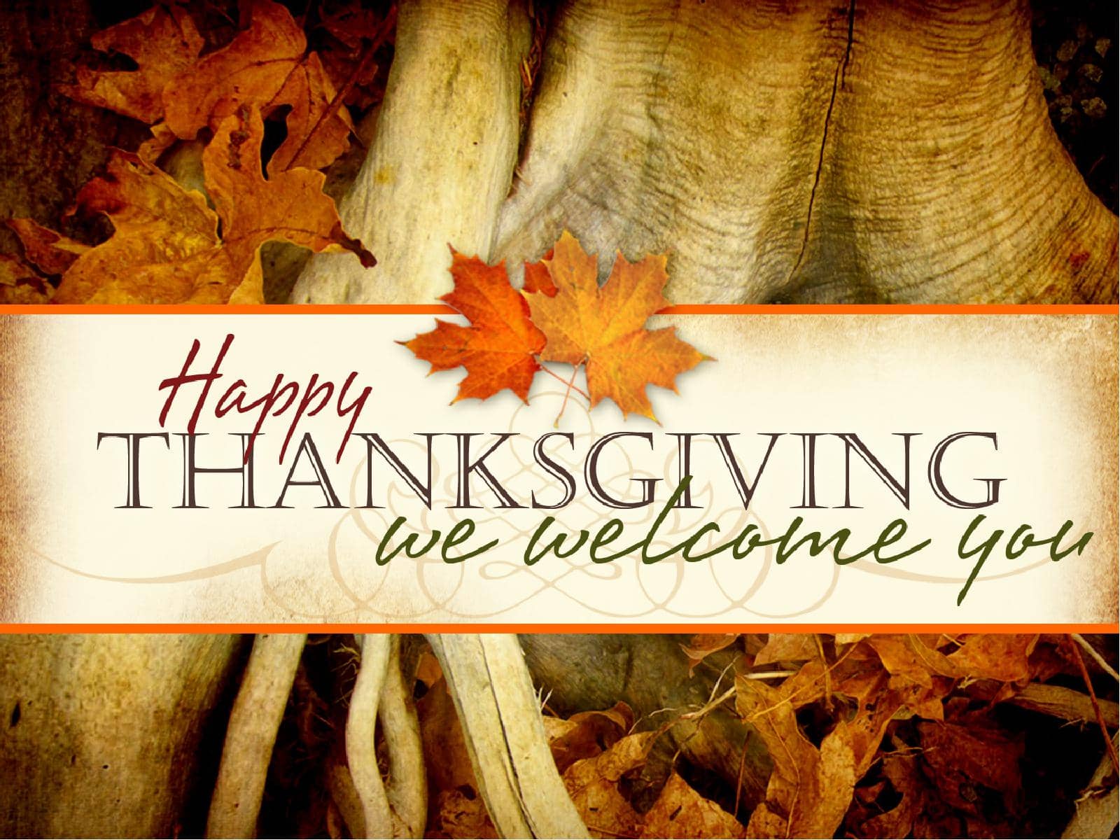 Thanksgiving PowerPoint Template