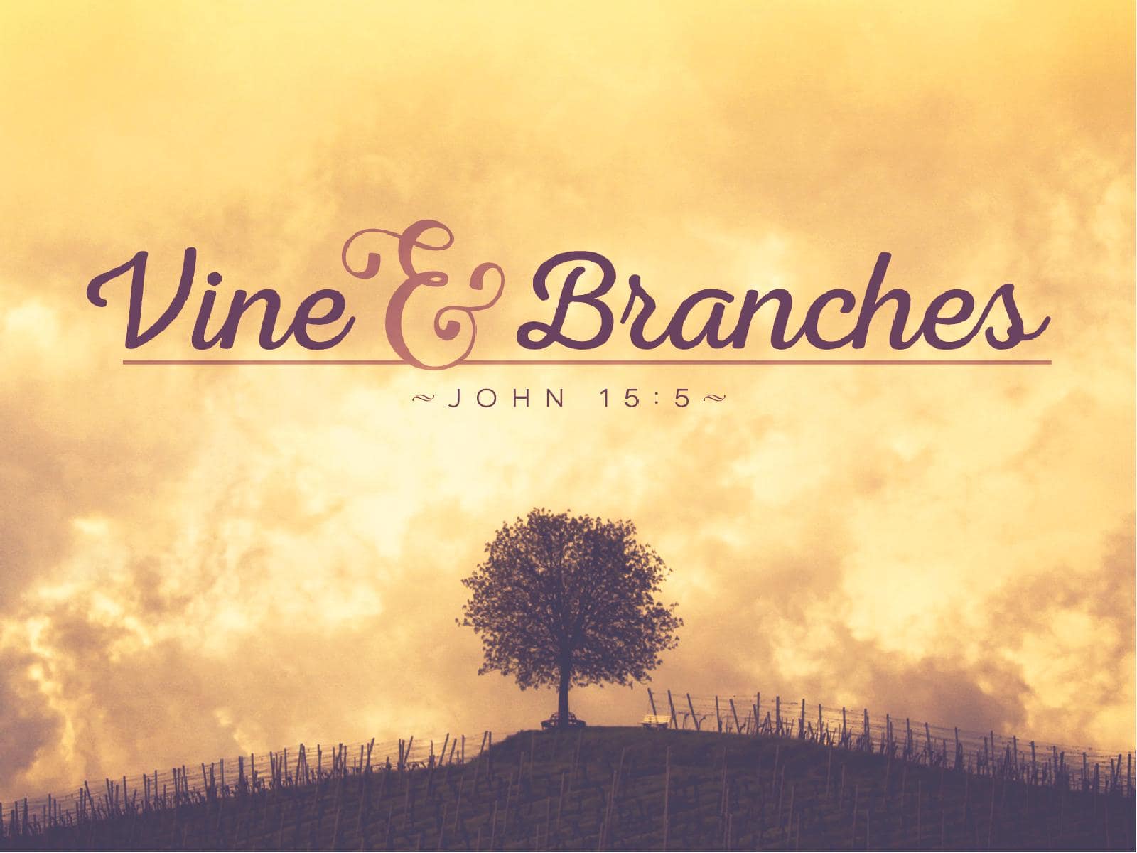Vine and Branches Religious PowerPoint