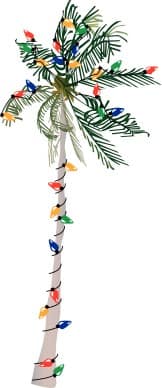 Palm Tree Strung with Lights