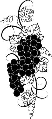 Black And White Grape Clipart