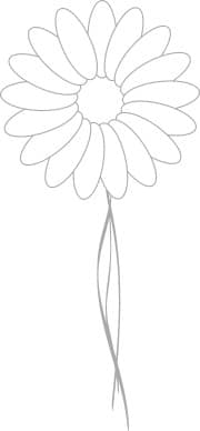 Light Stem on Daisy Blossom