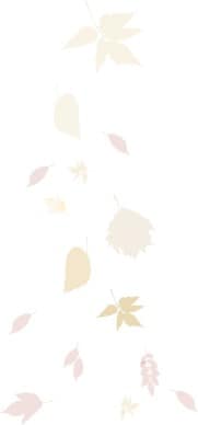 Various Fall Leaves