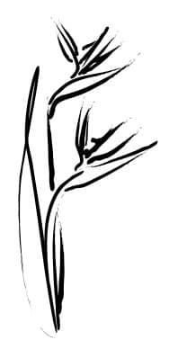 Tropical Party Floral Decoration