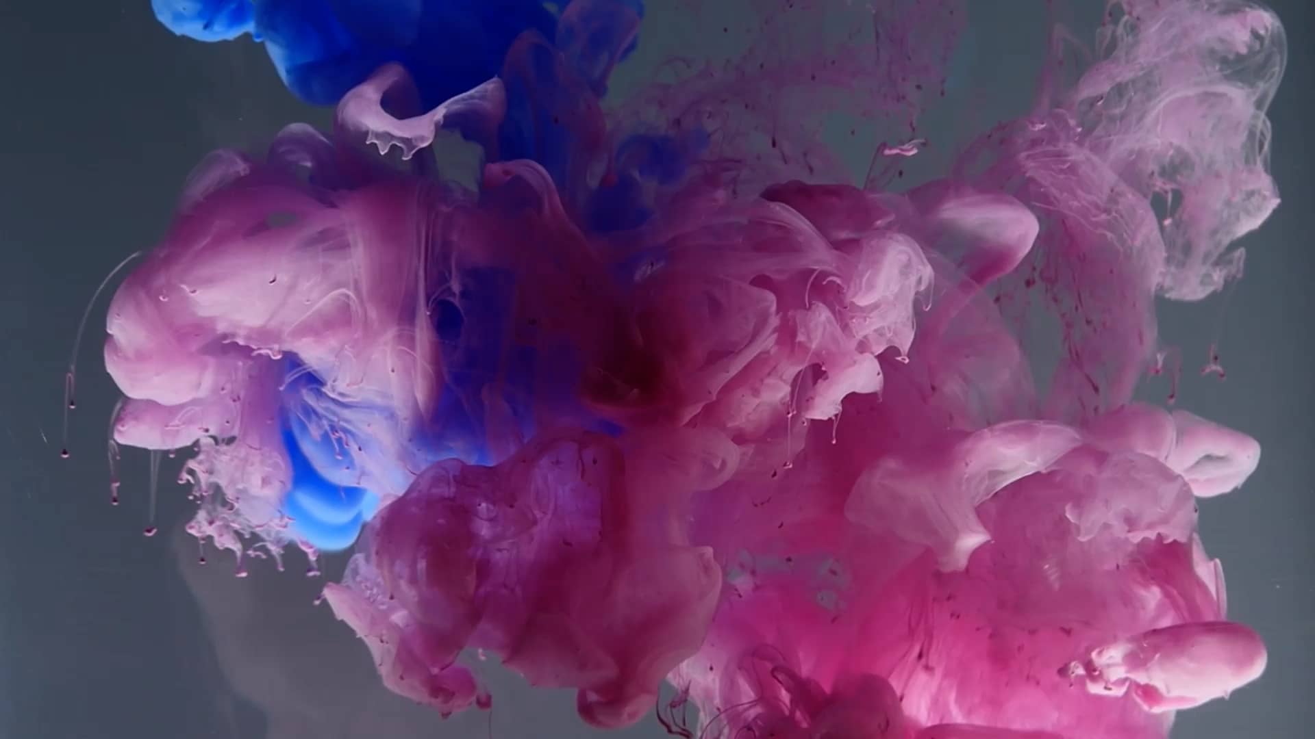 Color Splash Worship Background 17