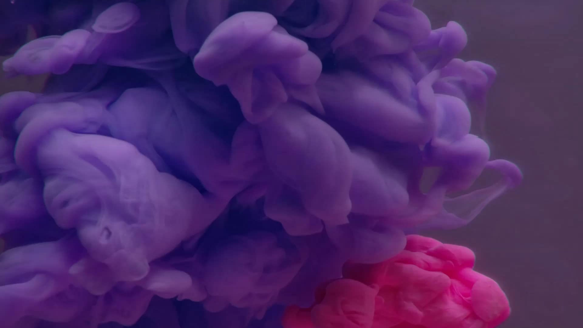 Worship 29 Colormix Church Motion Graphics