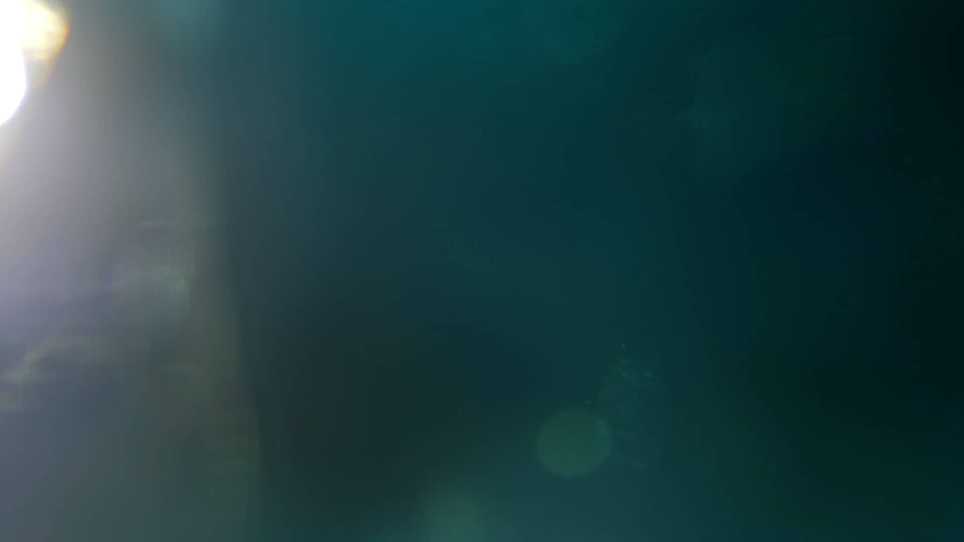 Dark Green Light Flare Church Motion