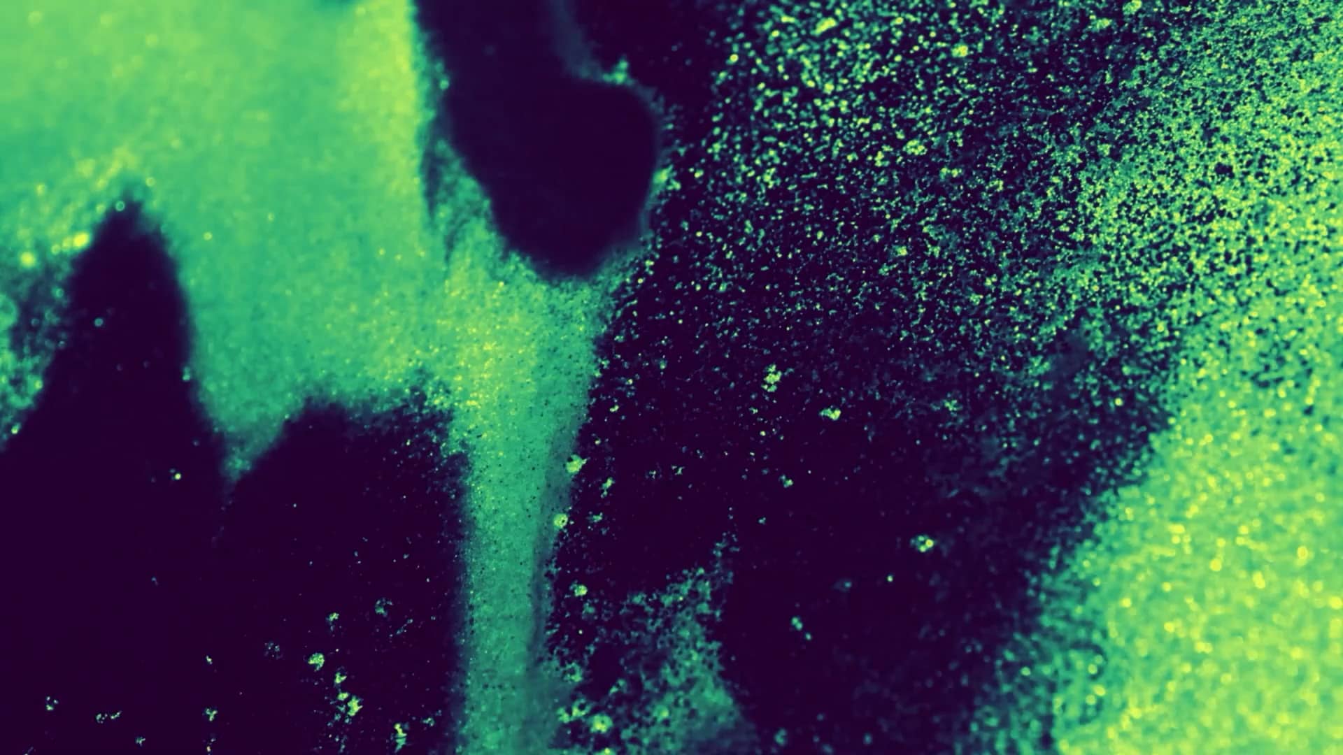 Brilliance Motion Graphic 09
