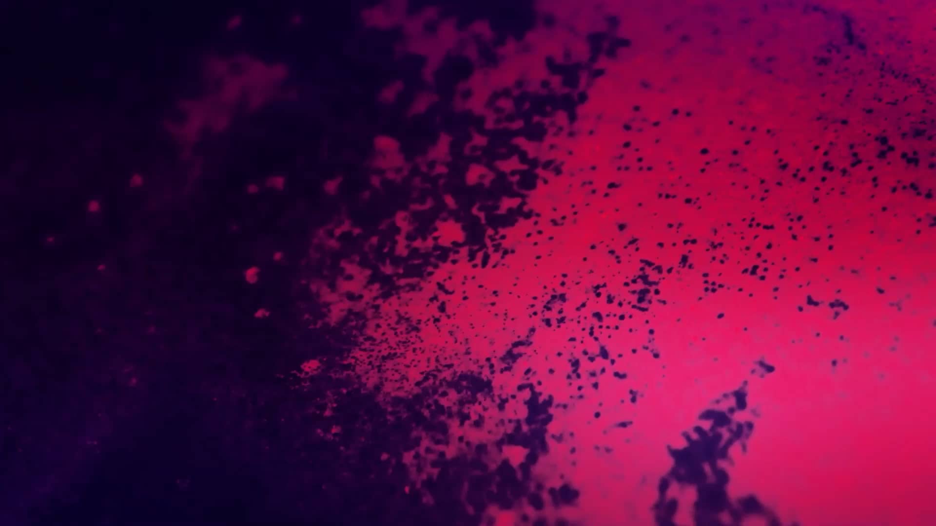 Brilliance Motion Graphic 21